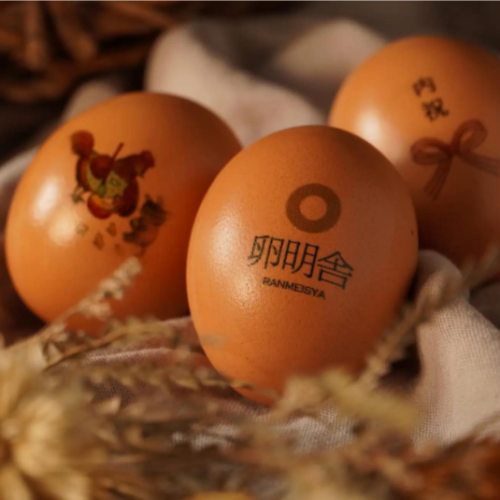 卵にアートを施して世界にひとつのオリジナルを作ろう！卵の殻に好きな絵や文字がプリントできる新サービスを栃木県の養鶏場で開始