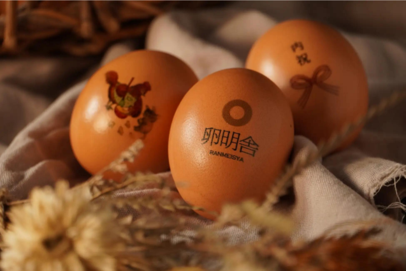卵にアートを施して世界にひとつのオリジナルを作ろう！卵の殻に好きな絵や文字がプリントできる新サービスを栃木県の養鶏場で開始