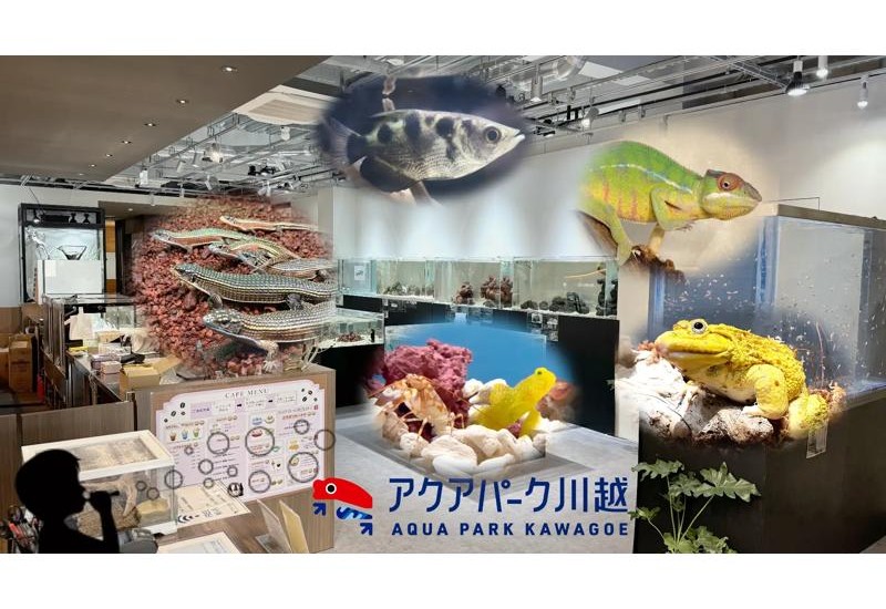 海のない埼玉で「黒潮の海」と出会える！魚も爬虫類も共存する新感覚の水族館が川越市に誕生