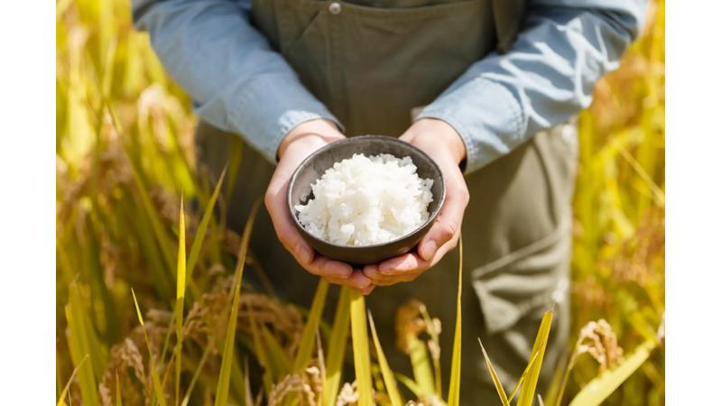 【リゾナーレ那須】田んぼで育てる自家製米、施設内のレストランで提供へ