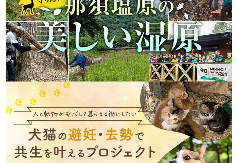 豊かな自然と命を守る！那須塩原市で2つのクラウドファンディングが始動