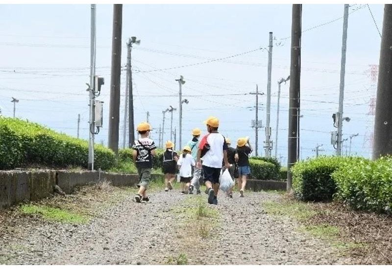 全校児童が茶畑へ！狭山茶のふるさと・入間市で「茶摘み＆オリエンテーリング」体験授業を実施