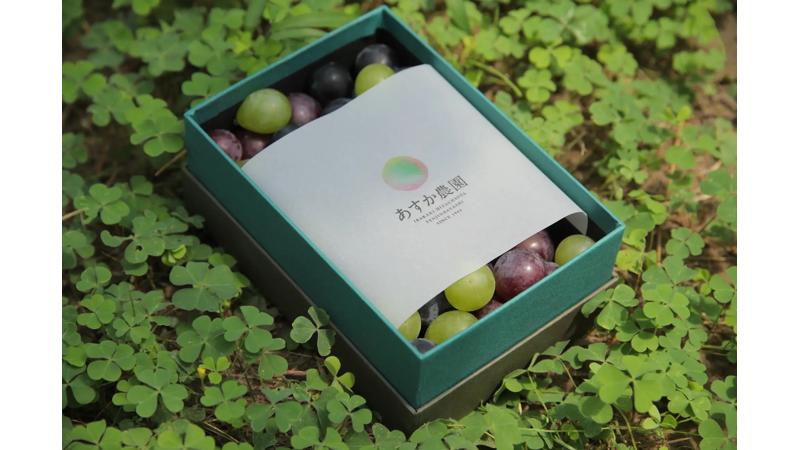 63年の歴史を持つ「あすか農園」、オンラインショップを開設。農薬・化学肥料に頼らない“ありのまま”のぶどうを全国へ配送