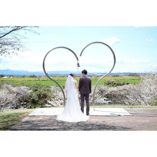 【桜の名所】高尾さくら公園でパークウェディングの新郎新婦を募集
