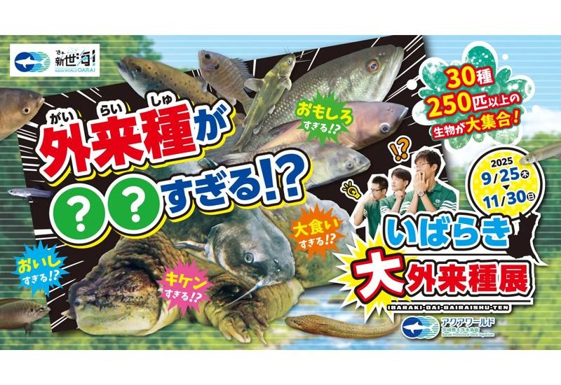 なまずドッグや釣り体験も！ アクアワールド茨城県大洗水族館で「外来種が○○すぎる！？いばらき大外来種展」を開催中