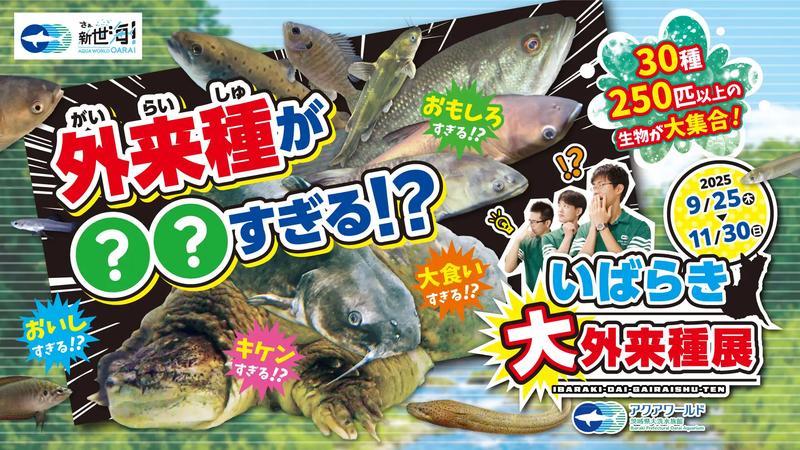 なまずドッグや釣り体験も! アクアワールド茨城県大洗水族館で「外来種が○○すぎる!?いばらき大外来種展」を開催中