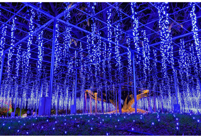 あしかがフラワーパークで冬のイルミネーションが開幕!光と香りに包まれるイマーシブ体験を提供