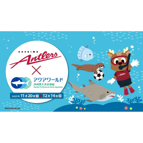 アクアワールド茨城県大洗水族館× 鹿島アントラーズが初のコラボイベントを開催！ 特設応援水槽の設置や限定グッズの販売、トークショーなど内容盛りだくさん