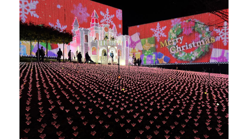 あしかがフラワーパーク、LED500万球超のイルミネーション「光の花の庭~Flower Fantasy2025-26」を開催中!