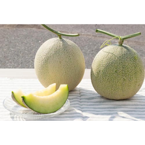 4種の希少メロンを味わう！昭和村はやしふぁーむの食べ比べセットが完売