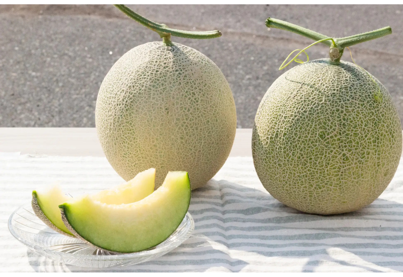 4種の希少メロンを味わう！昭和村はやしふぁーむの食べ比べセットが完売