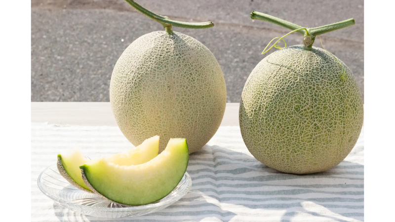 4種の希少メロンを味わう!昭和村はやしふぁーむの食べ比べセットが完売