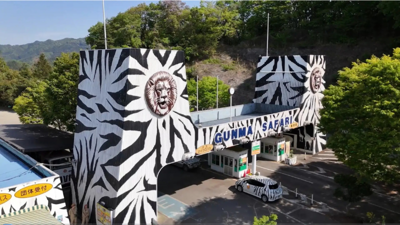 群馬サファリパーク、ETC決済システム利用者の入園料が1,000円引きになるキャンペーンを実施