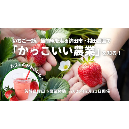 一流レストラン向けいちごの生産現場を体験！ 茨城県鉾田市・村田農園で農業プログラムを実施