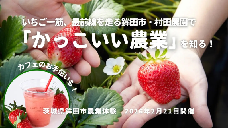 一流レストラン向けいちごの生産現場を体験！ 茨城県鉾田市・村田農園で農業プログラムを実施