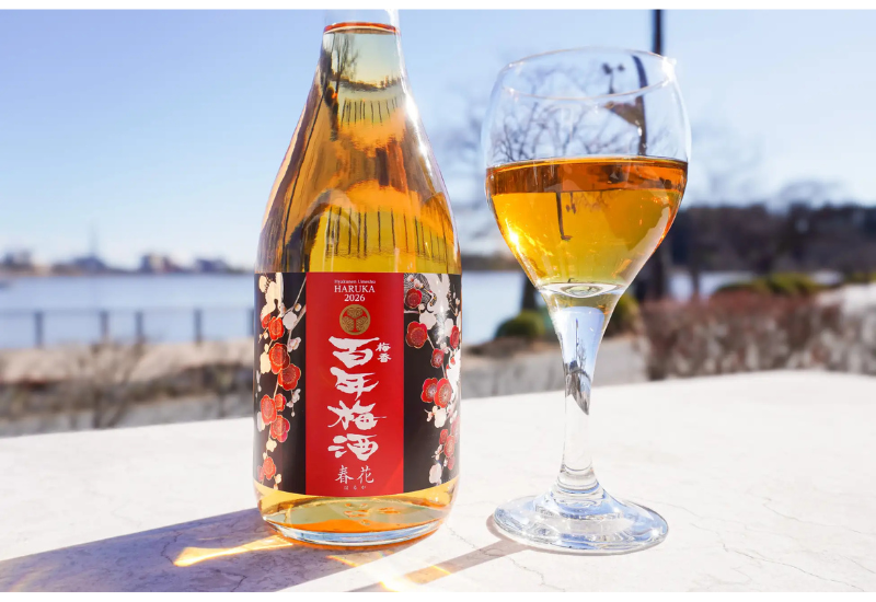 日本一に選ばれた「百年梅酒」の限定モデル「百年梅酒 春花」が、2026年2月2日より全国販売開始！