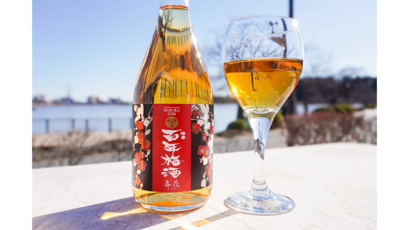 日本一に選ばれた「百年梅酒」の限定モデル「百年梅酒 春花」が、2026年2月2日より全国販売開始！