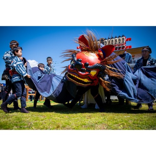茨城県石岡市で幌獅子が舞う、第2回「石岡 春の獅子祭り2026」が開催
