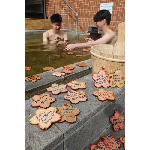 【栃木県さくら市】お丸山ホテル「桜プロジェクト」第1弾をスタート。桜をテーマにした宿泊プランも用意