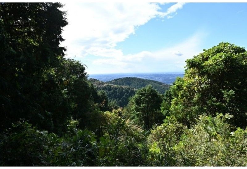 【茨城県つくば市】森林文化協会、つくば万博の森を“自然共生サイト”として認定