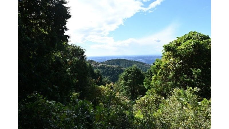 【茨城県つくば市】森林文化協会、つくば万博の森を“自然共生サイト”として認定