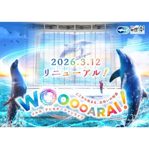 「アクアワールド茨城県大洗水族館」のイルカ・アシカオーシャンライブがリニューアル！