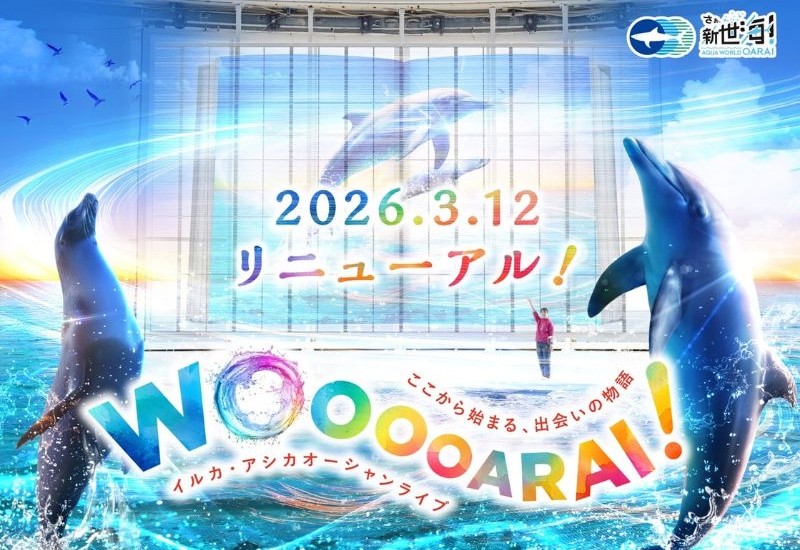 「アクアワールド茨城県大洗水族館」のイルカ・アシカオーシャンライブがリニューアル！