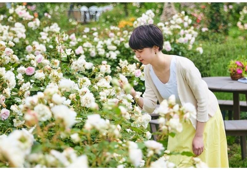 いばらきフラワーパークでバラが華やぐ「春バラフェア～バラに囲まれる時間」が5月上旬から開催