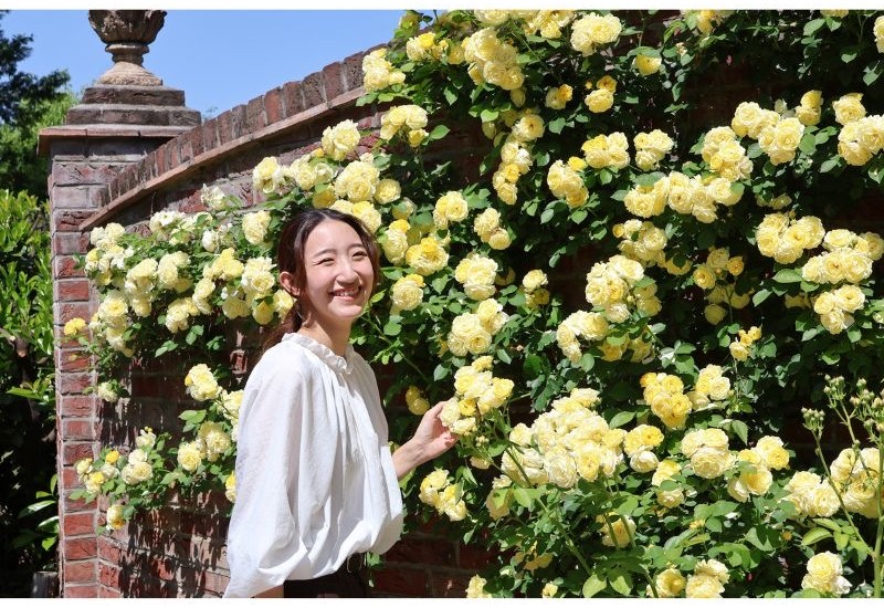 太田市の本格派イングリッシュガーデン、知る人ぞ知るバラの名所「エアリスの小さな森公園」