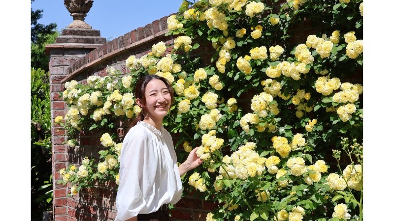 太田市の本格派イングリッシュガーデン、知る人ぞ知るバラの名所「エアリスの小さな森公園」