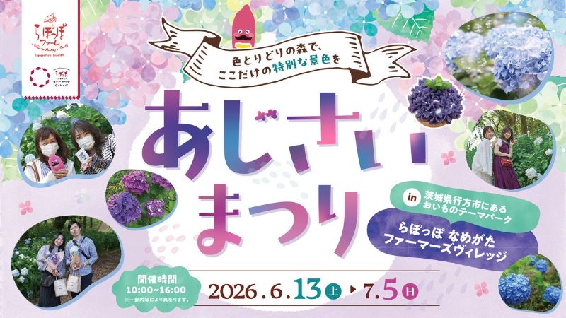 らぽっぽ なめがたファーマーズヴィレッジで限定カフェメニューも楽しめる「あじさいまつり2026」を開催