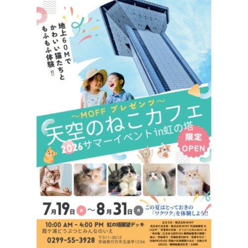 地上60mの展望台で猫とふれあう夏休み特別企画「天空のねこカフェ」が期間限定で開催中！