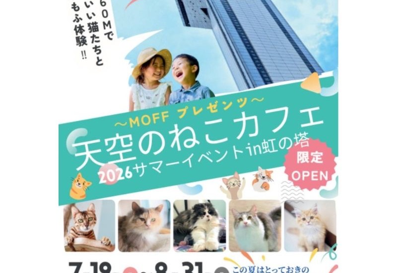 地上60mの展望台で猫とふれあう夏休み特別企画「天空のねこカフェ」が期間限定で開催中！
