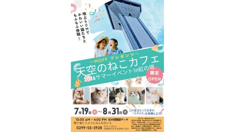 地上60mの展望台で猫とふれあう夏休み特別企画「天空のねこカフェ」が期間限定で開催中!