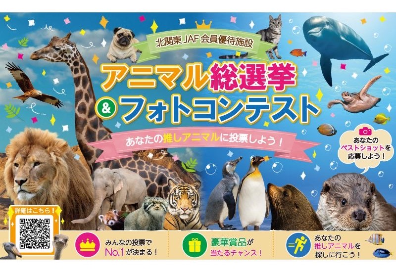 北関東12施設の「推し動物」が集結！JAFが初の「推しアニマル総選挙＆フォトコンテスト」を開催