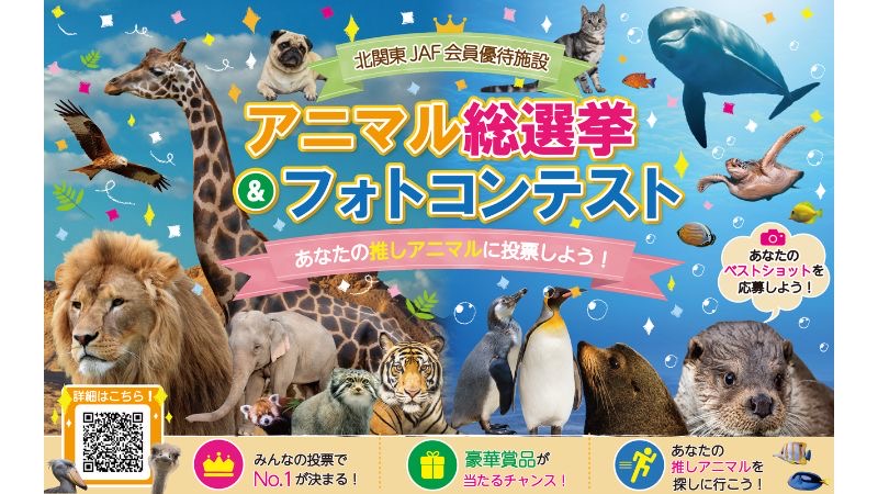 北関東12施設の「推し動物」が集結!JAFが初の「推しアニマル総選挙&フォトコンテスト」を開催