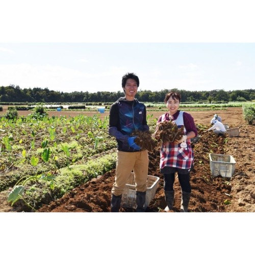 川越プリンスホテル、さつまいも掘りと秋の味覚を満喫する宿泊プラン「小江戸秋旅」を販売開始