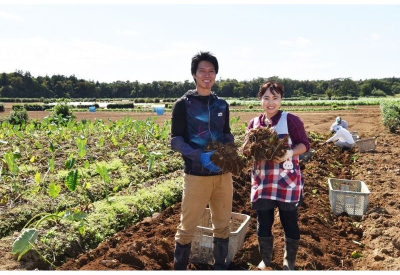 川越プリンスホテル、さつまいも掘りと秋の味覚を満喫する宿泊プラン「小江戸秋旅」を販売開始