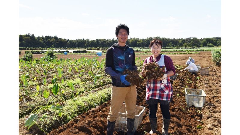 川越プリンスホテル、さつまいも掘りと秋の味覚を満喫する宿泊プラン「小江戸秋旅」を販売開始