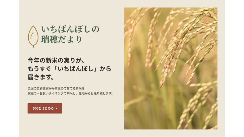 道の駅たかねざわの直売所「いちばんぼし」が新米のオンライン販売を開始