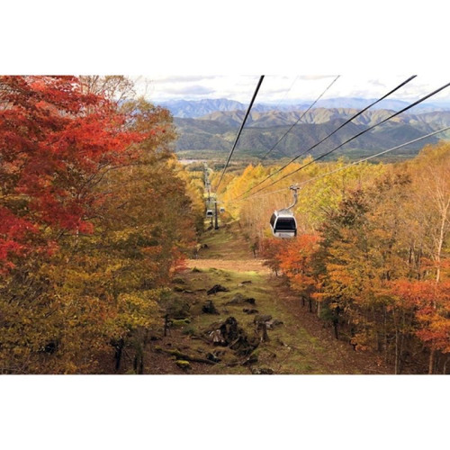 ハンターマウンテン塩原「紅葉ゴンドラ」を10月10日から運行開始。栃木県内の小学生は乗車無料！