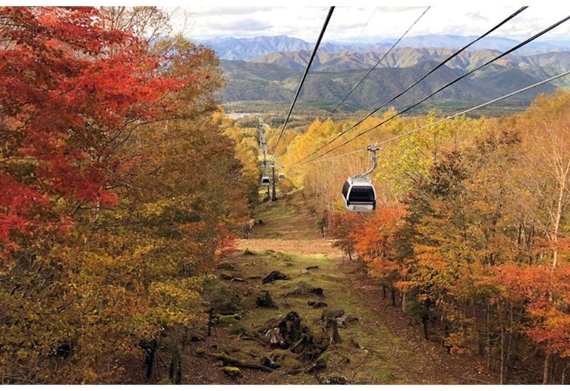 ハンターマウンテン塩原「紅葉ゴンドラ」を10月10日から運行開始。栃木県内の小学生は乗車無料！