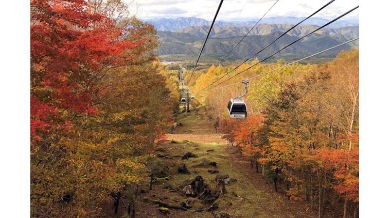 ハンターマウンテン塩原「紅葉ゴンドラ」を10月10日から運行開始。栃木県内の小学生は乗車無料！